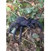 Scary monster Spider Geocache 